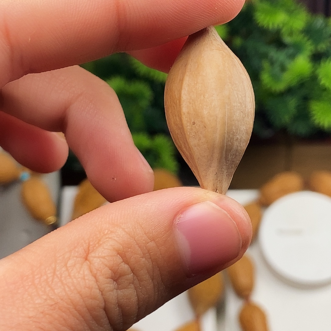 橄榄核手串/手链hvvhbbbbbbbbbnnn