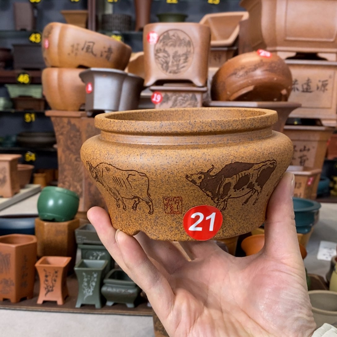 紫砂紫砂花盆盆景花盆