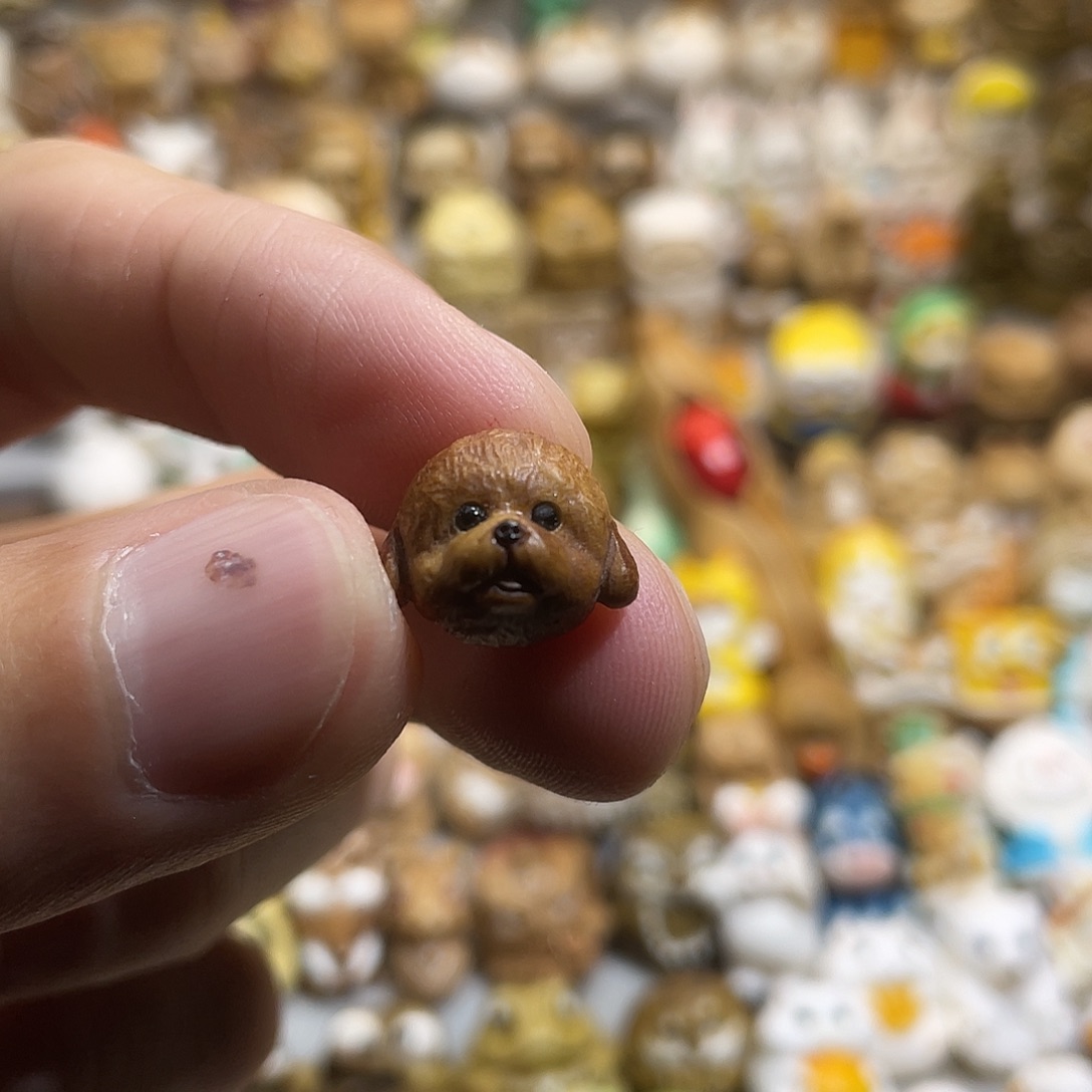 学***柜非金属鹿角泰迪狗头天地