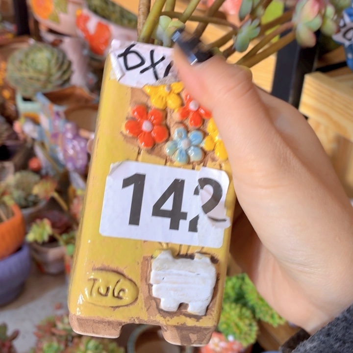 多肉花盆满15包邮