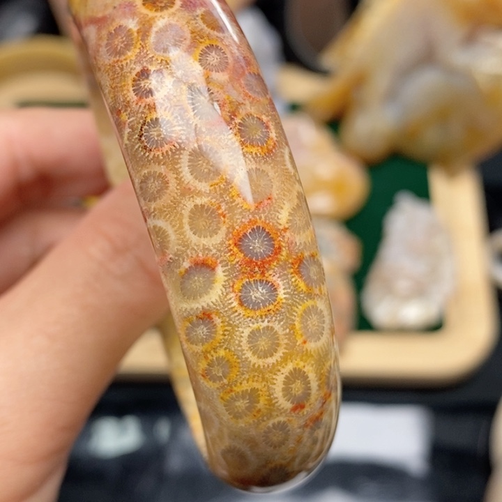 硅化珊瑚（珊瑚玉）手镯未镶嵌58,3