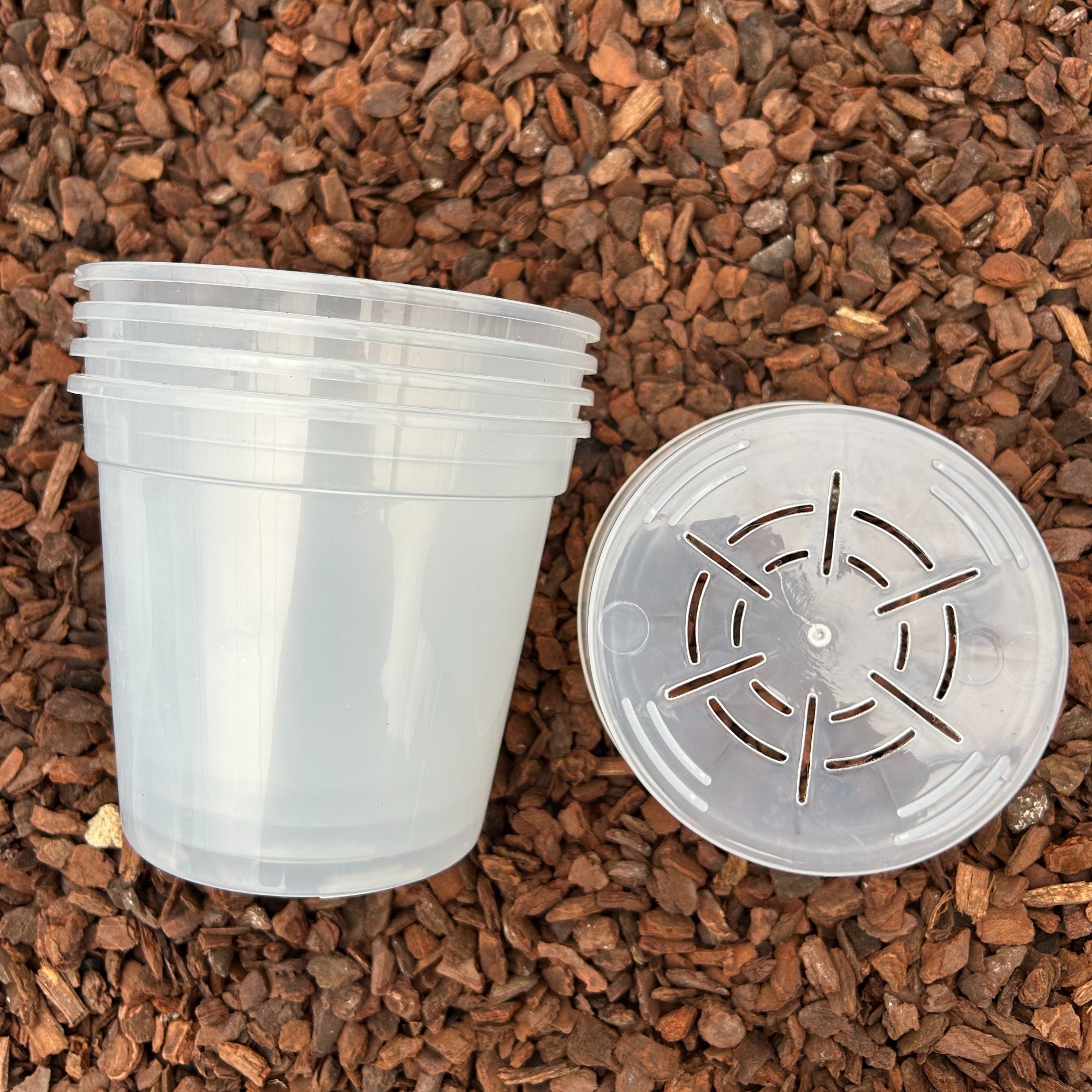 蝴蝶兰专用塑料花盆4.5寸大兰场推荐