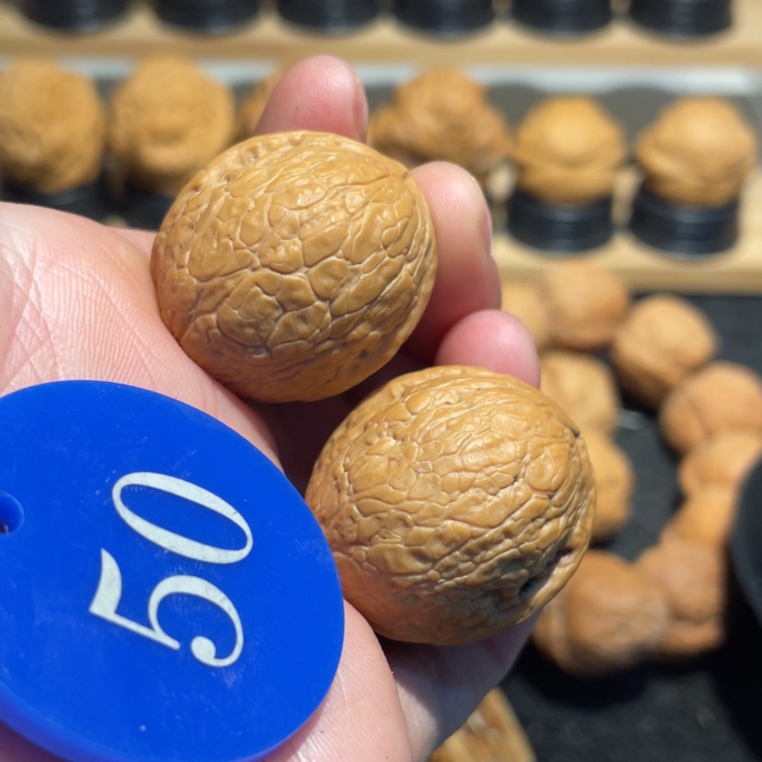 圆滚滚雪球微彩核桃27