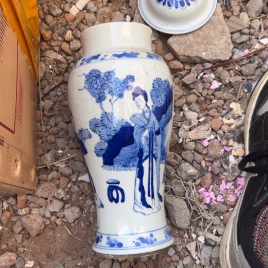 七***安杂色豆（科檀/科特迪瓦檀木）