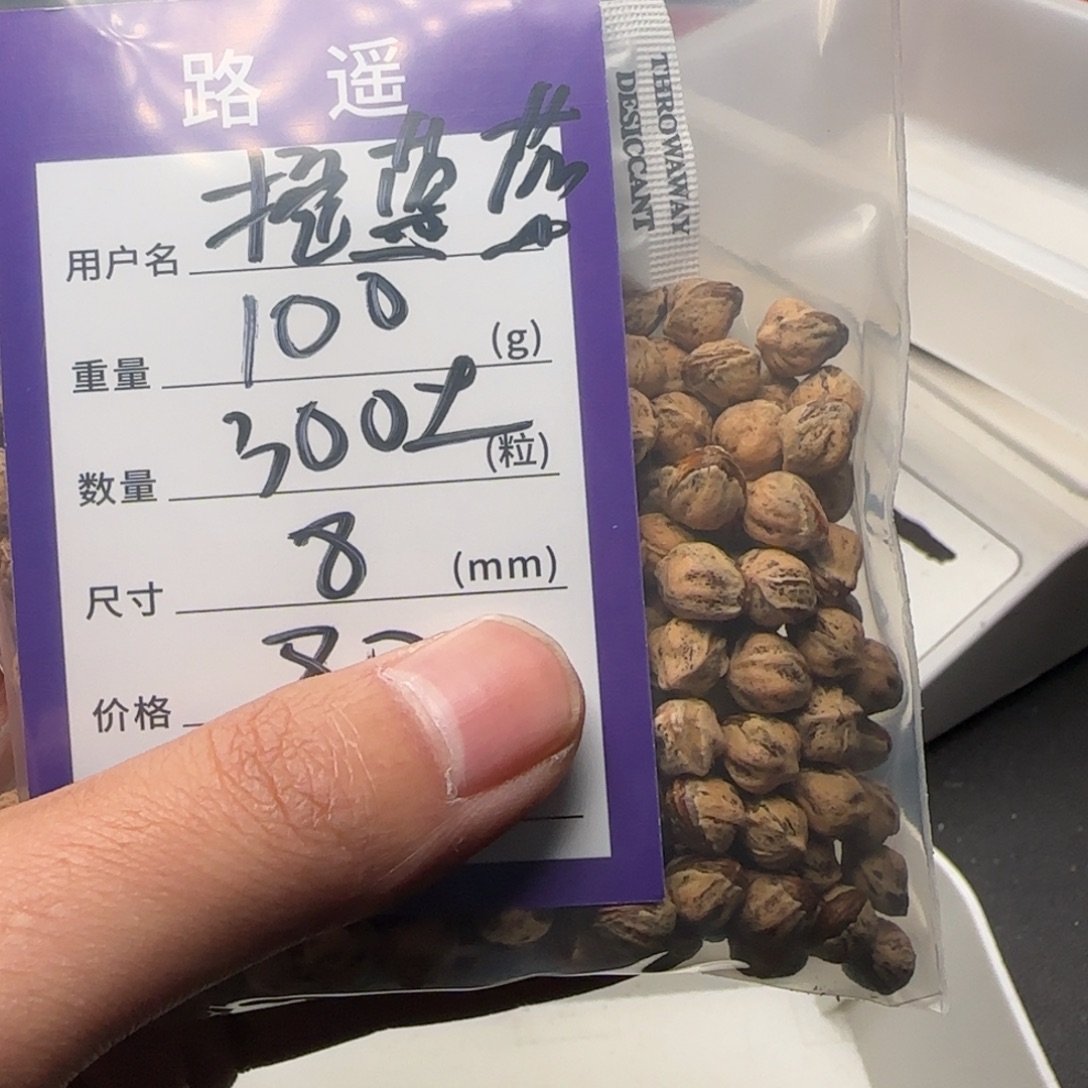 摇***蓝柏香籽/百香籽吊坠