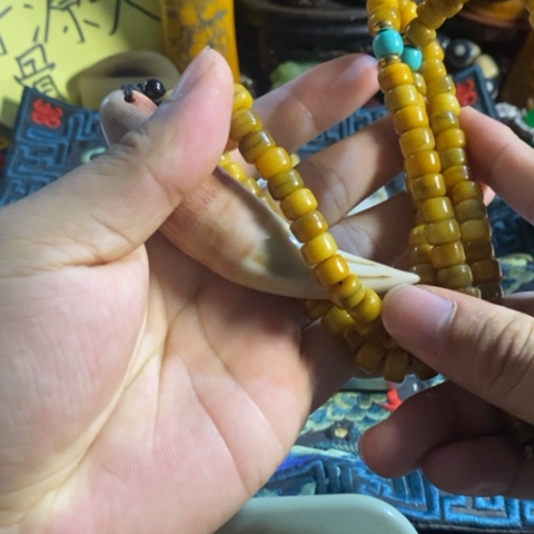 苏*斌大哥专拍链接一号 