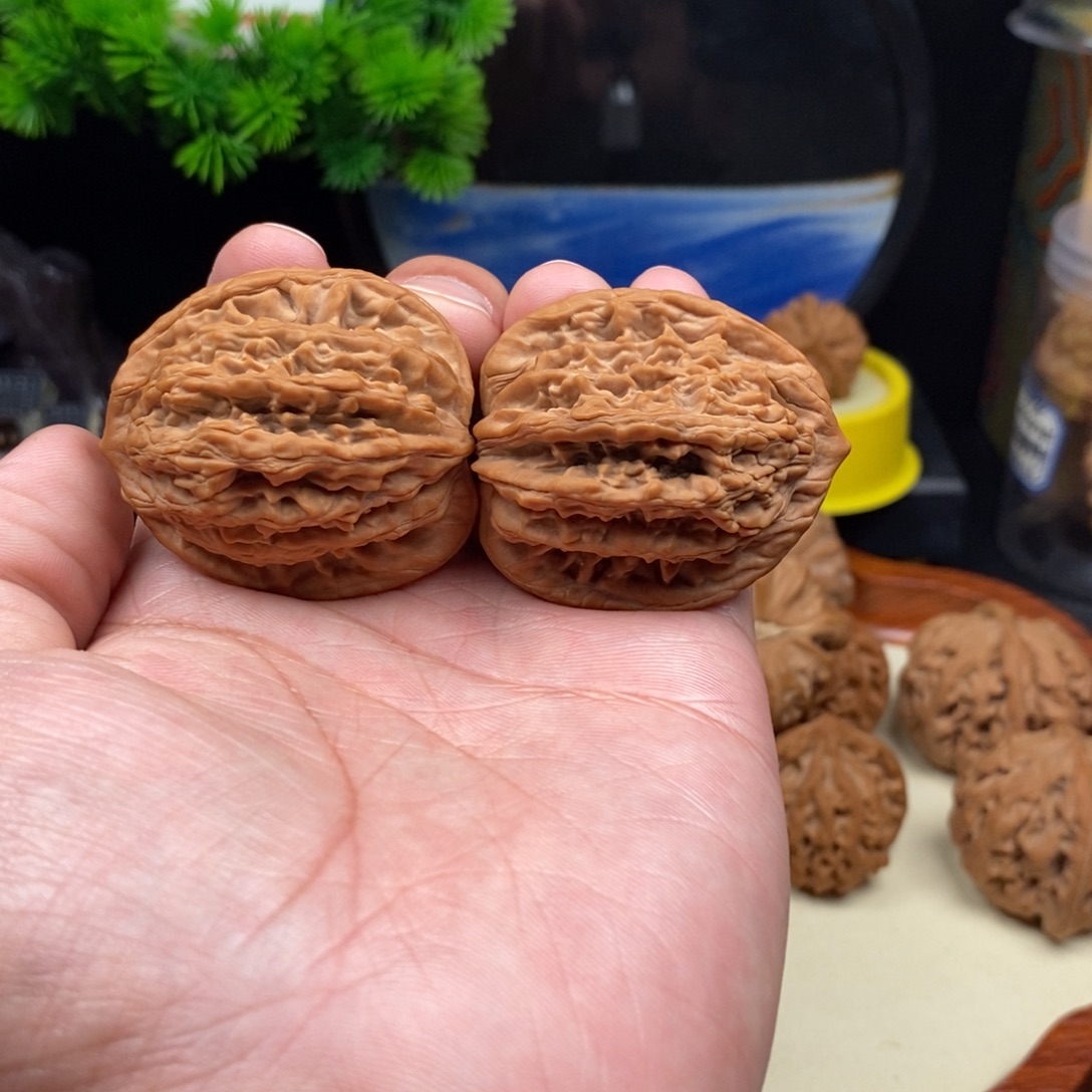 短***鹿核桃麦穗虎头   40