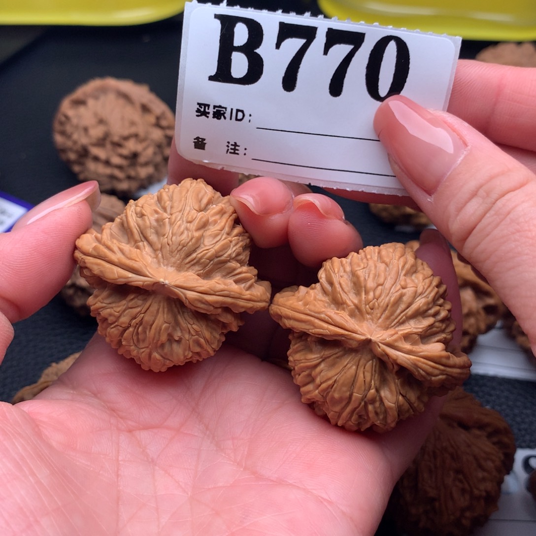 核桃白狮770链接41尺