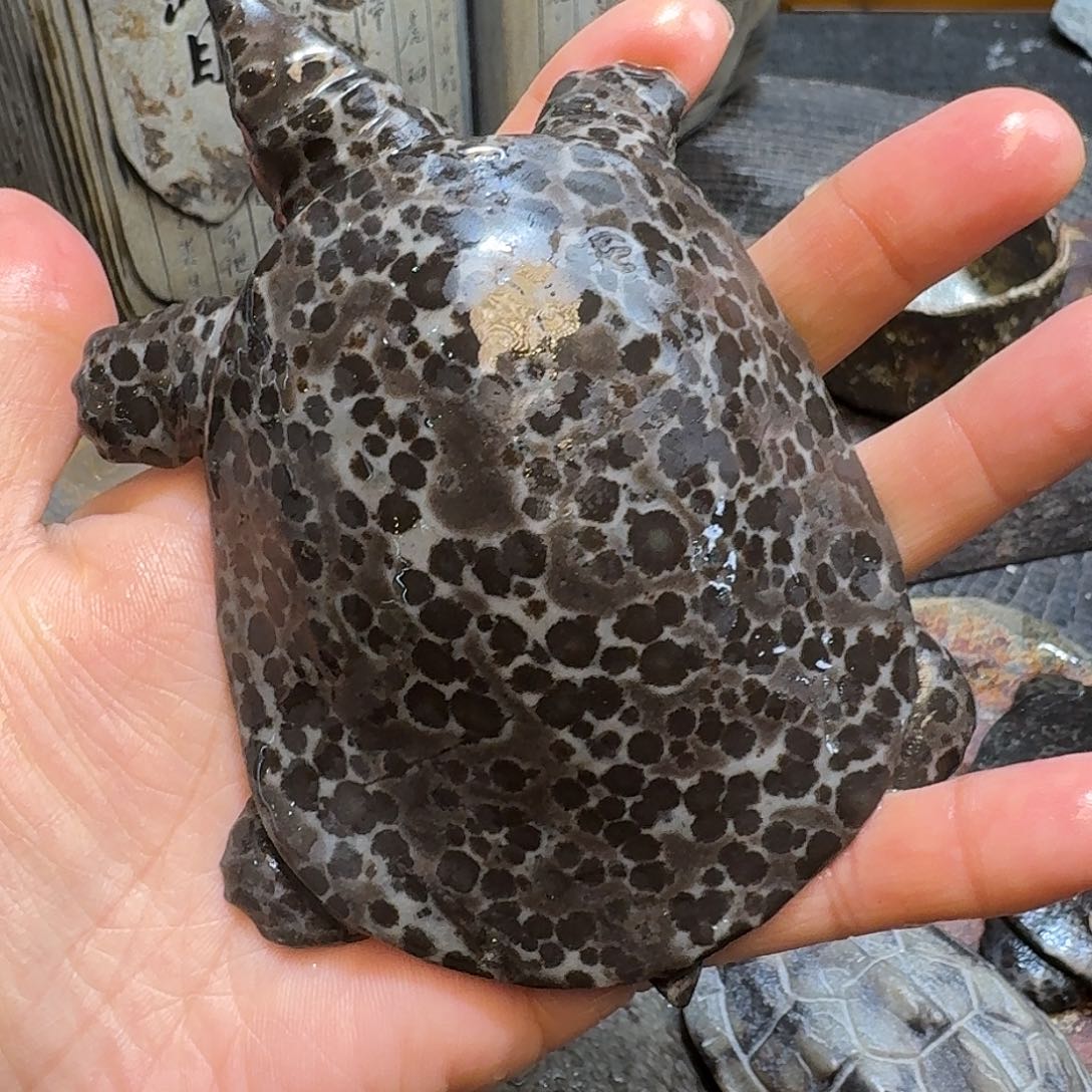 雷*冰碛岩茶宠茶宠茶宠