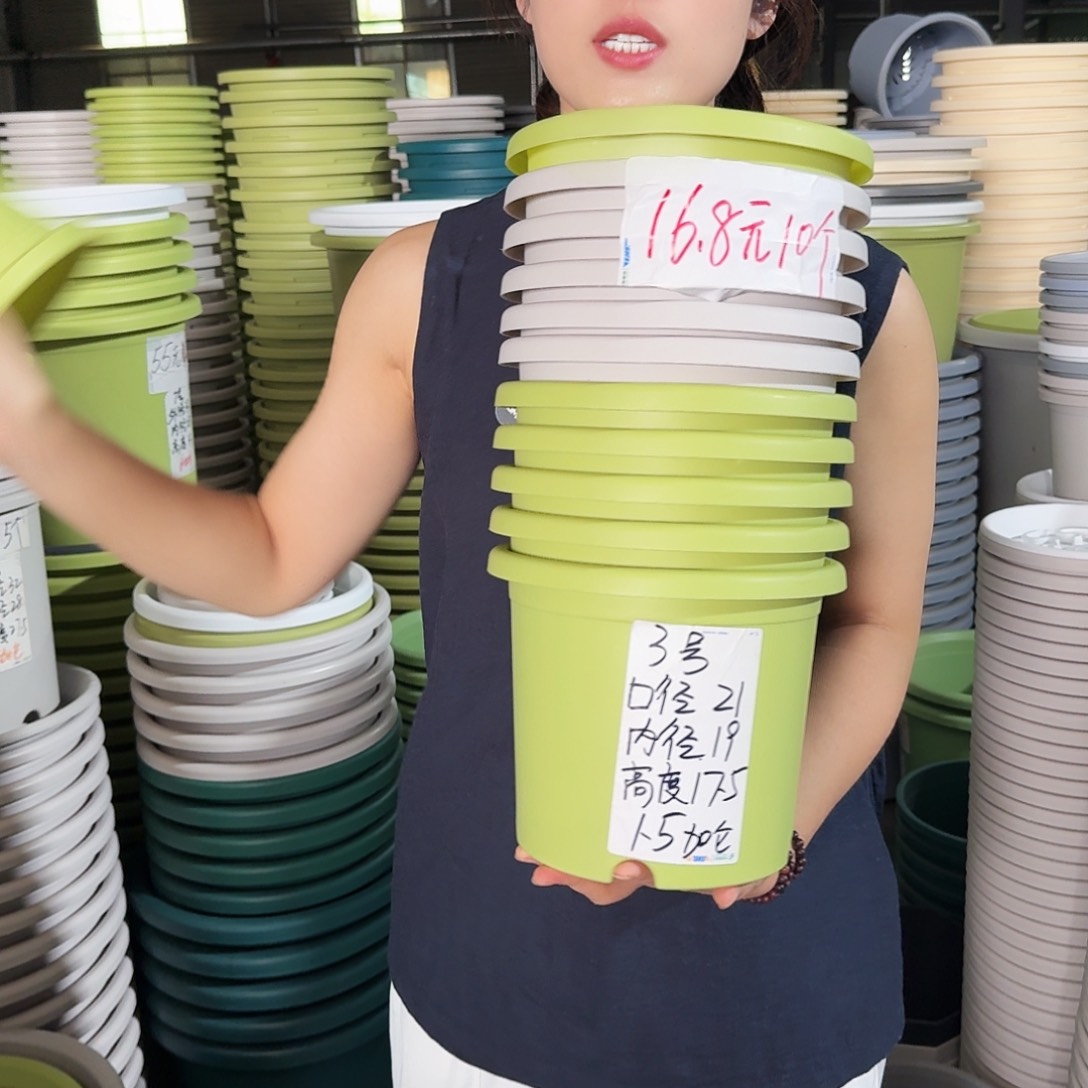 微瑕3#口径21无拖果绿10个