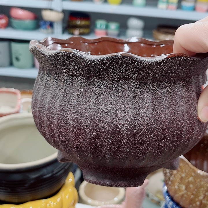 多肉花盆满10元包邮