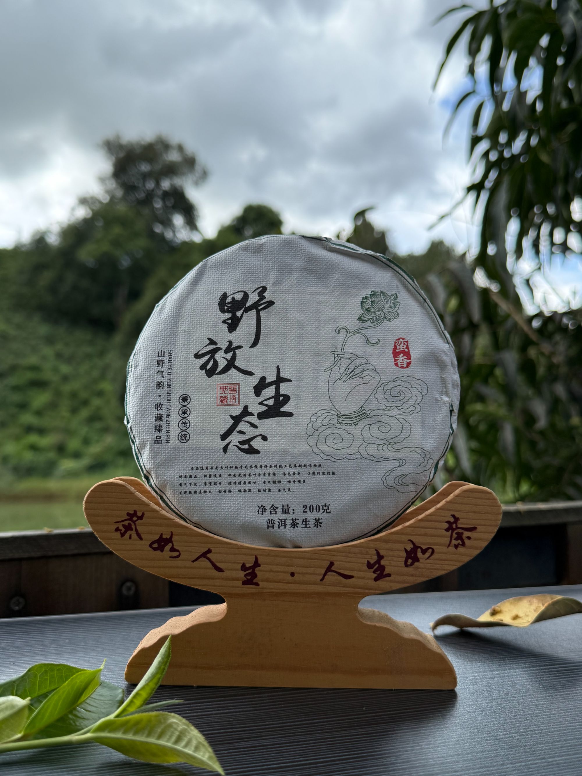 【夏山见】 2022年 野放生态 生茶 200克   普洱茶 