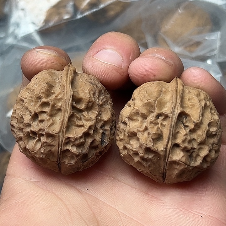 核桃21号牡丹纹元宝38尺