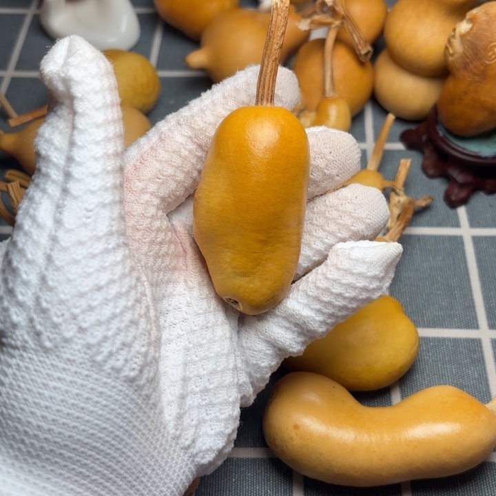 勇***望葫芦666666666666