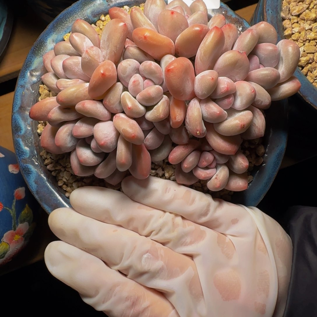 f f f f f f f f f f f 34