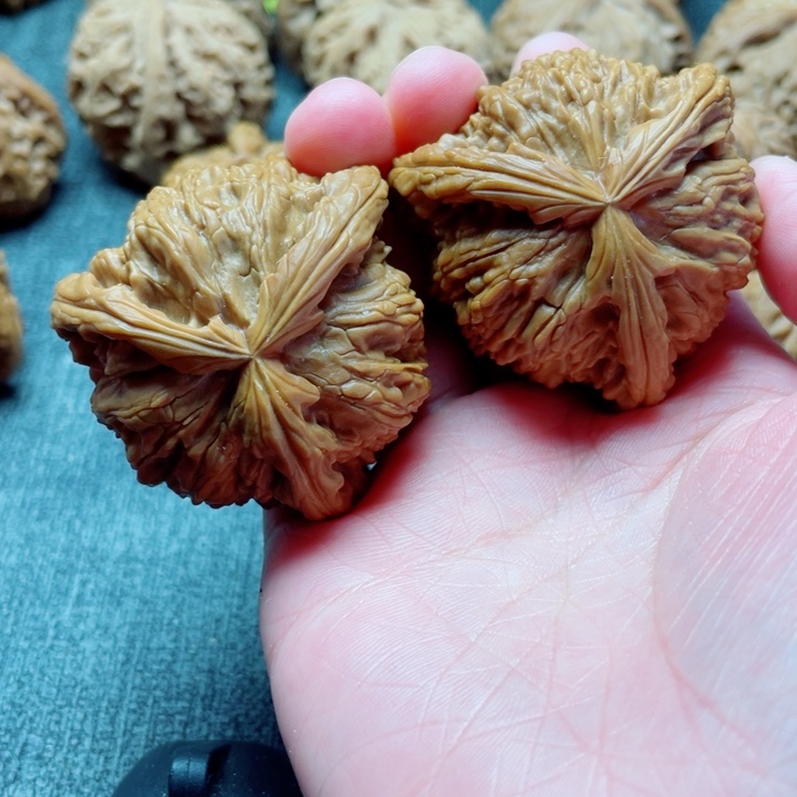 手工三棱白狮子三棱