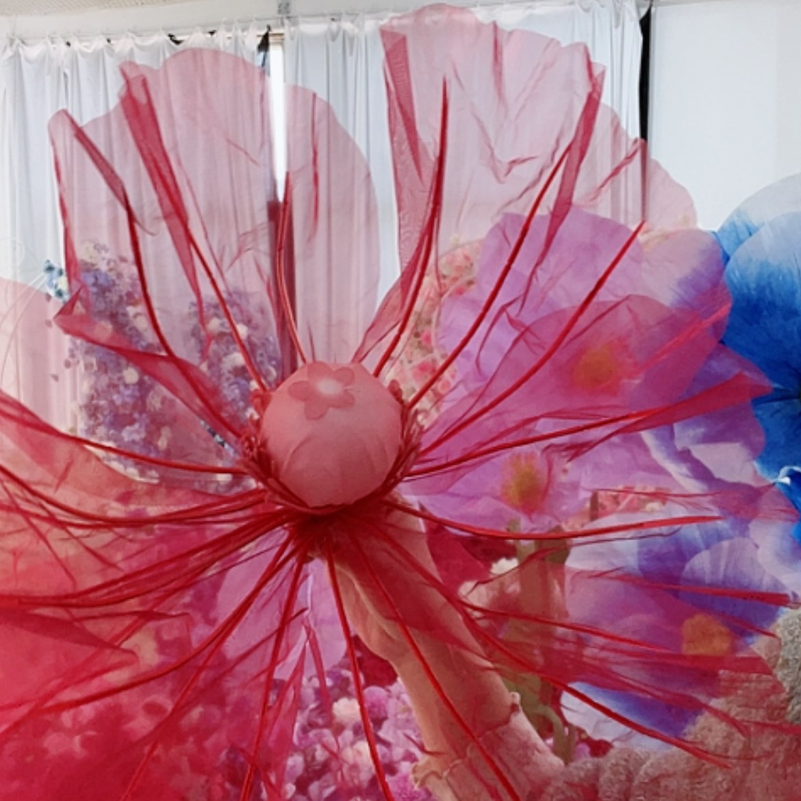 【闪购商品】单花头