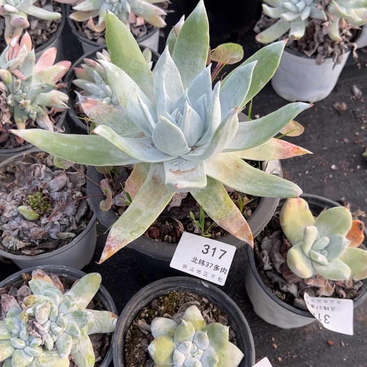 董*317哈哈哈哈哈哈哈哈