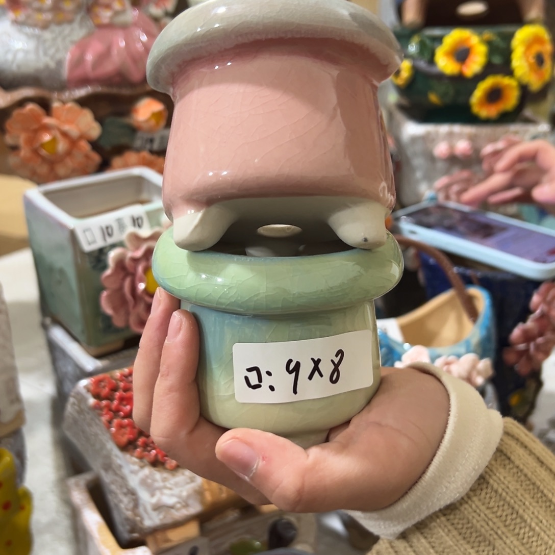 颜色随便，花盆，拍满20发货，退款拉黑