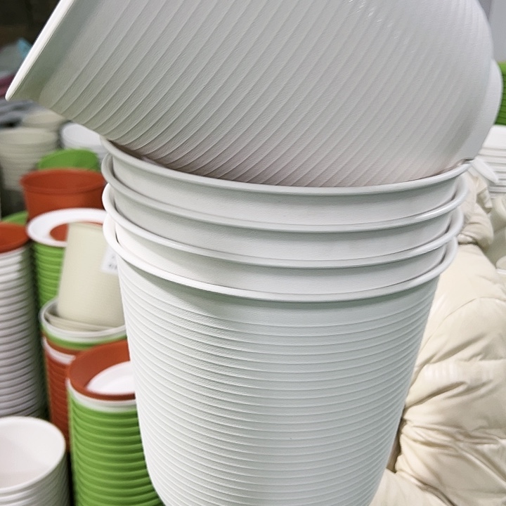 正品高陶口24.5高24.6白色无托5只