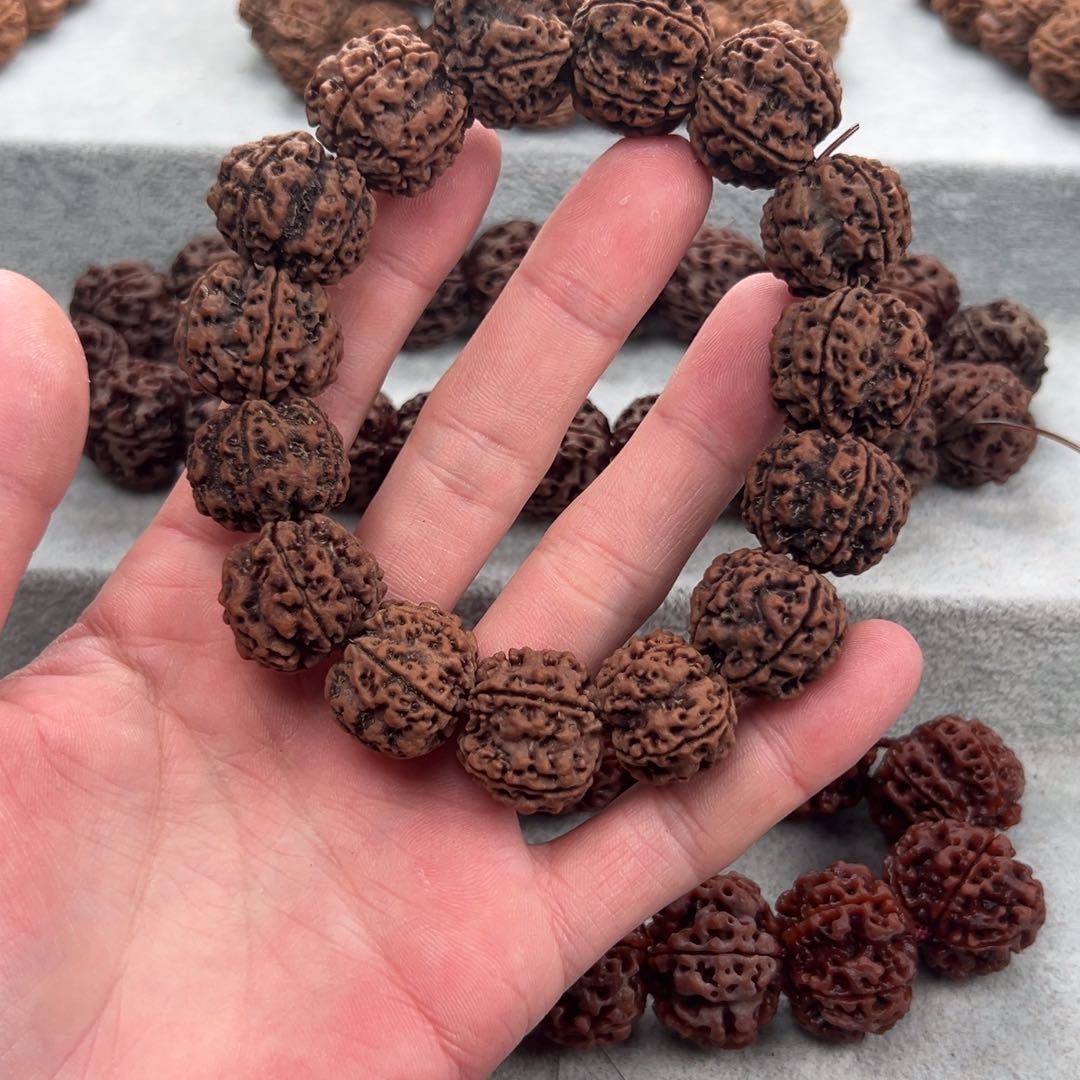 金刚菩提手串铁龙