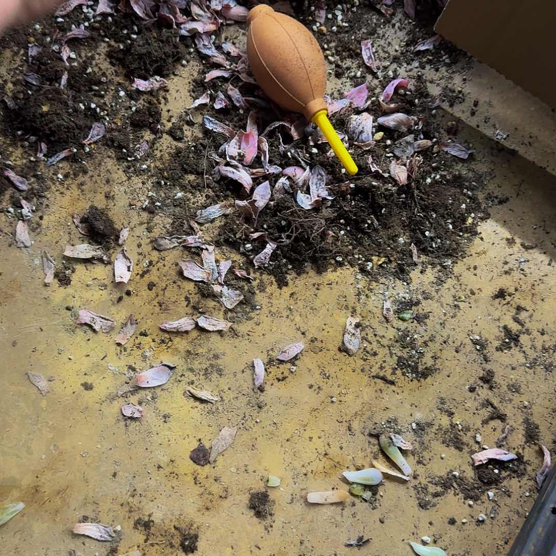 M****?哈哈哈哈哈哈哈哈哈哈哈哈