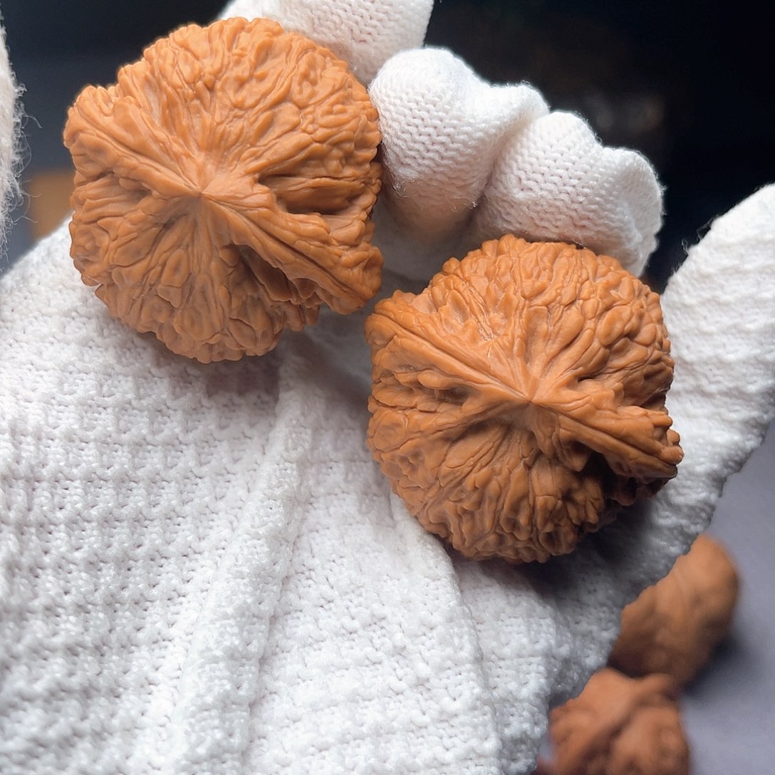 核桃把件刘**R蛟龙42尺全品X-050