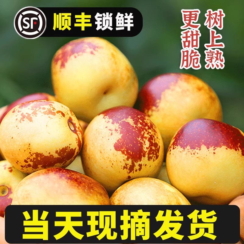 【顺丰包邮】嘎嘣脆 冬枣新鲜水果应当季大枣脆甜青枣整箱5斤/3斤山东省
