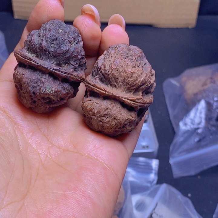 把件文玩核桃21-42mm