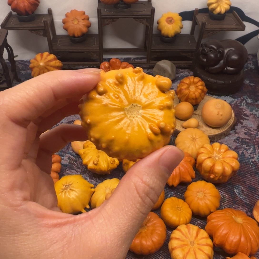 墨西哥葫芦小疙瘩