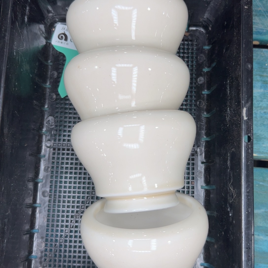 多肉精选编号0116.7