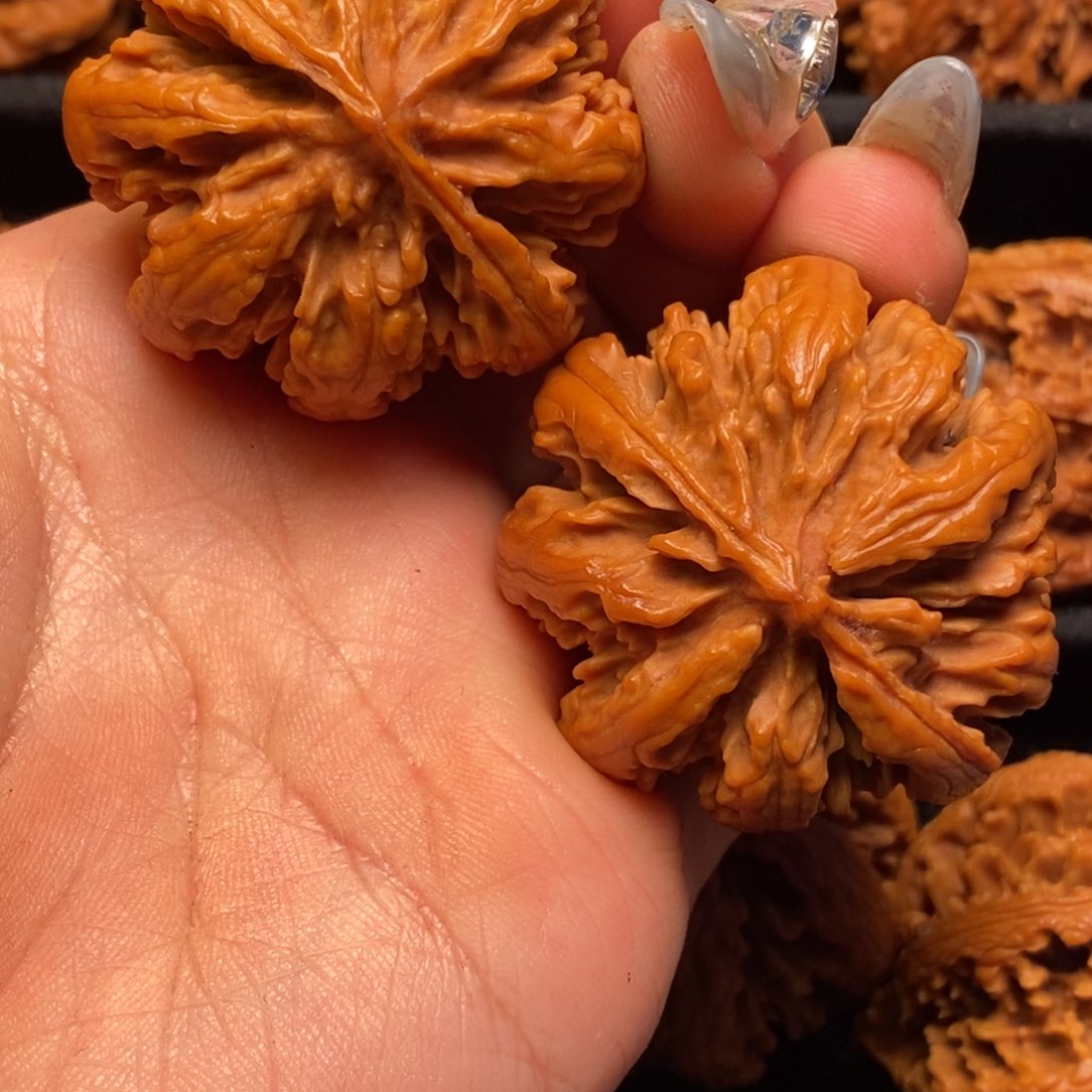 文玩核桃吊坠秦岭山脉核桃