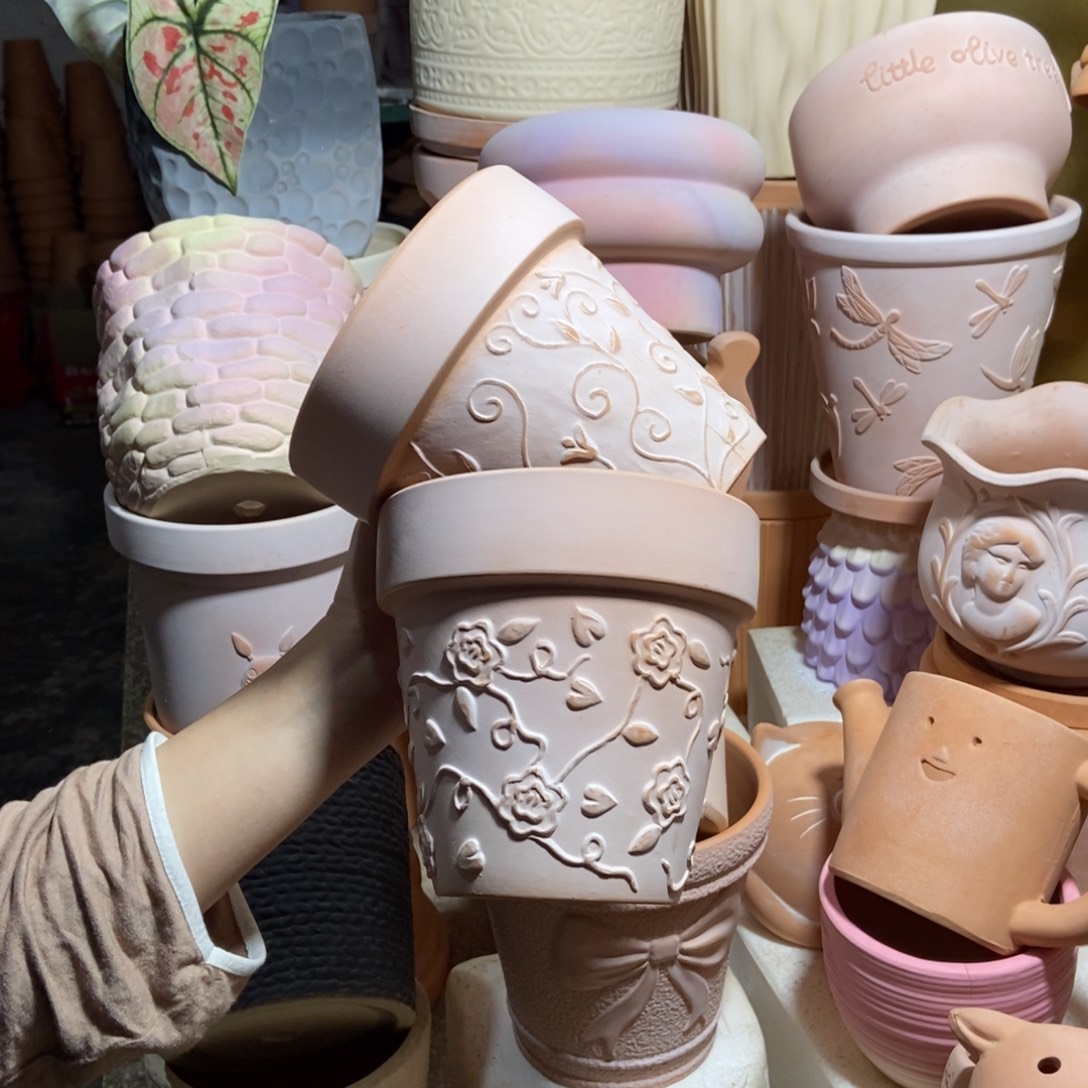 14×13雾化国际玫瑰+钩藤2个