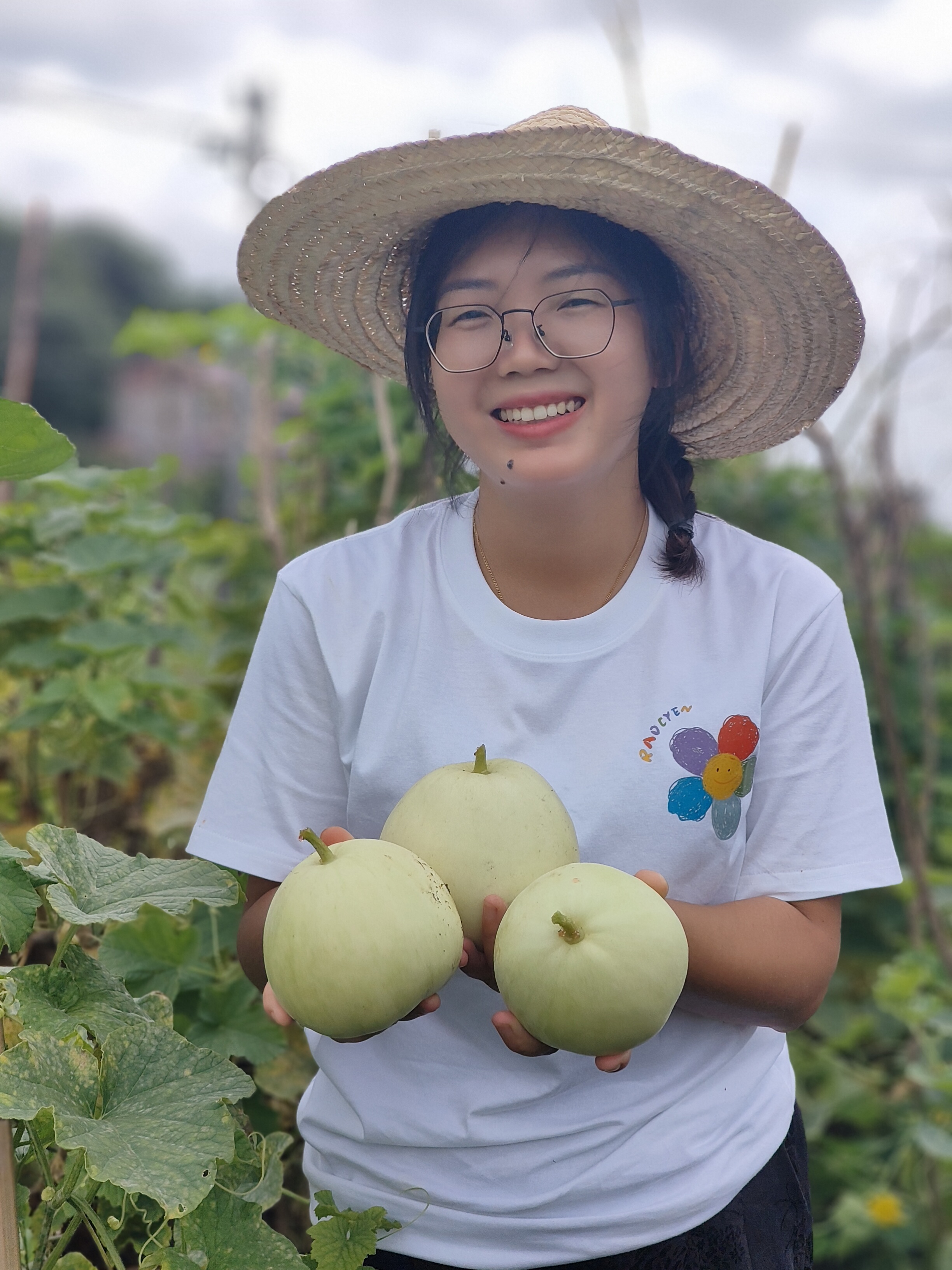 农家自种香瓜（5斤）