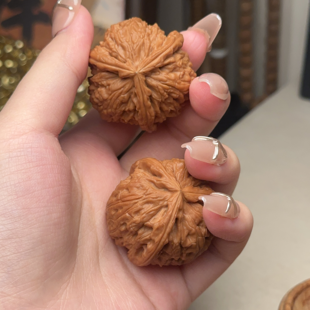 36白狮子正奔文玩核桃手把件