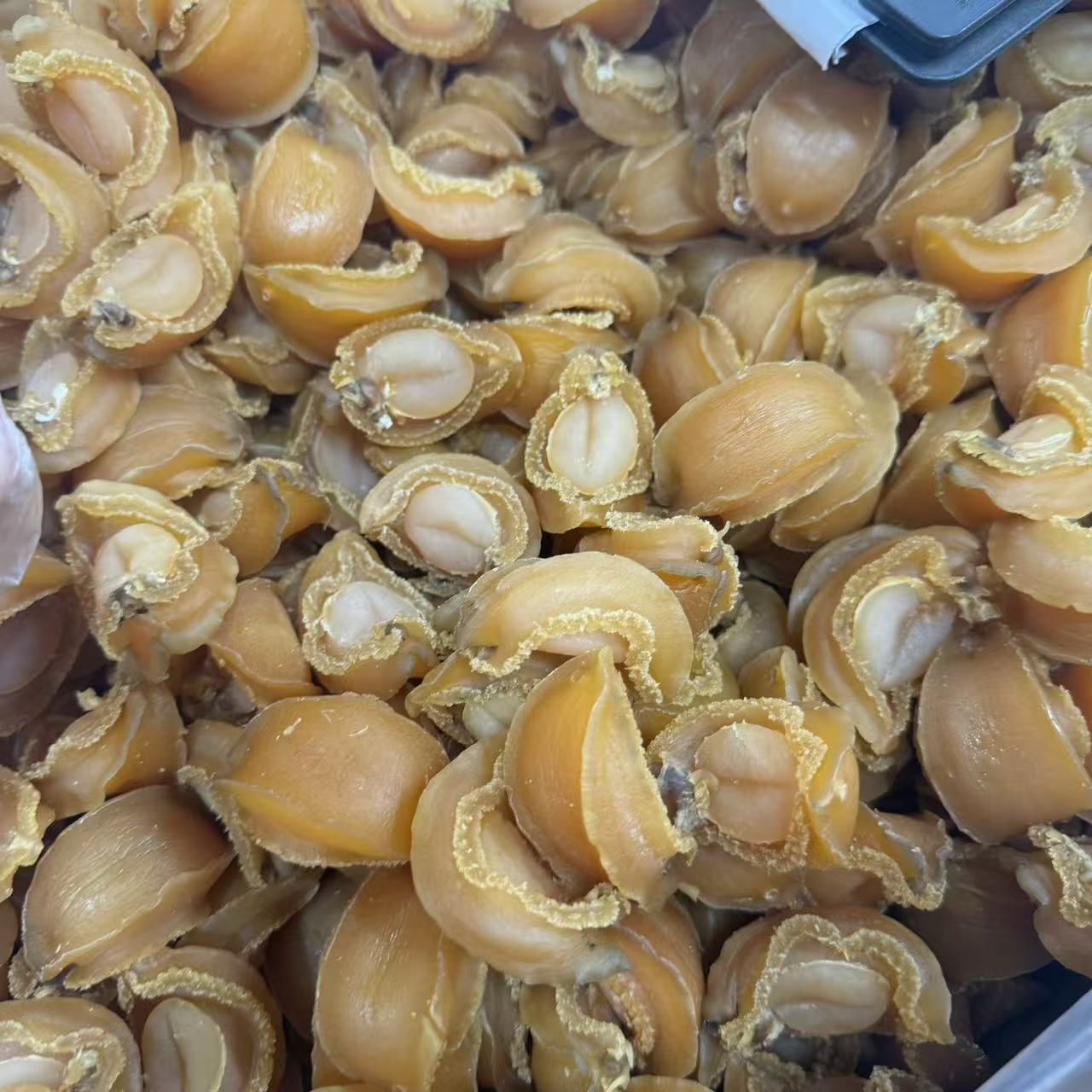 【顺德拉叔臻品】精选吉品25头鲍鱼 500g