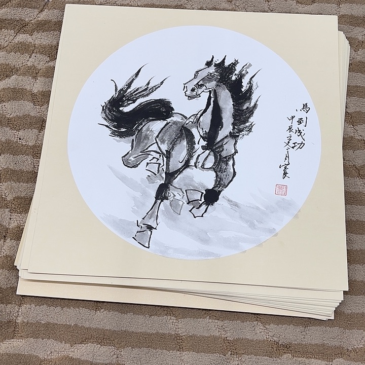 国画花鸟的翅膀是白色38.38