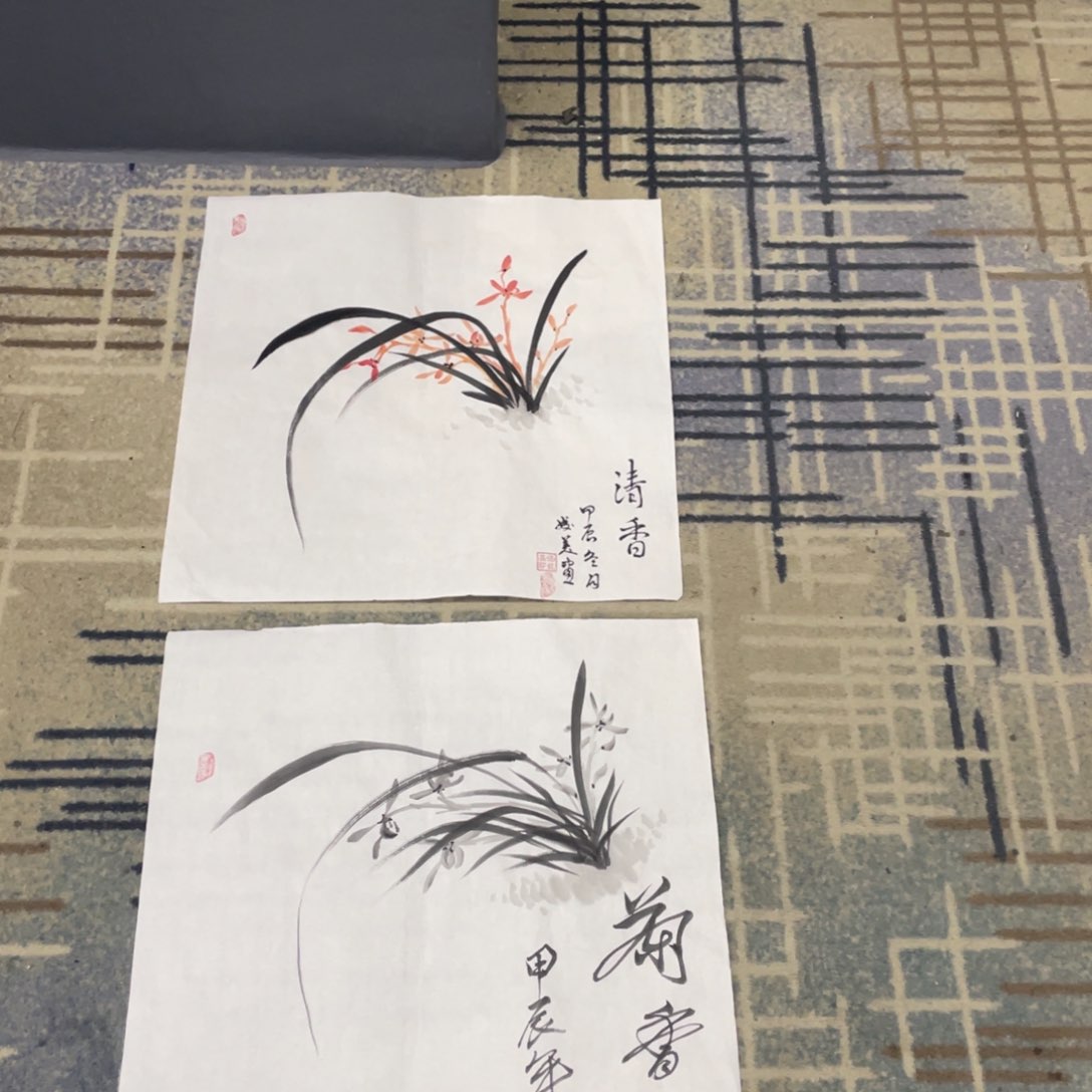 国画50斗方作品花鸟11111