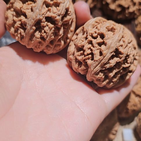 大***树吊坠文玩核桃45粗筋