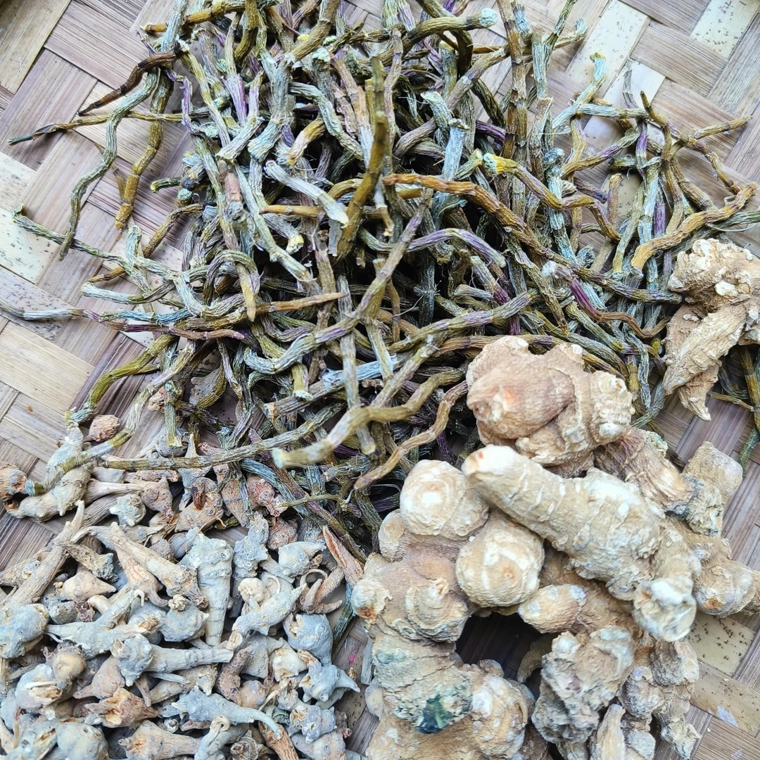 【小江专属】云南边境好物-（灯塔水母）好物分享