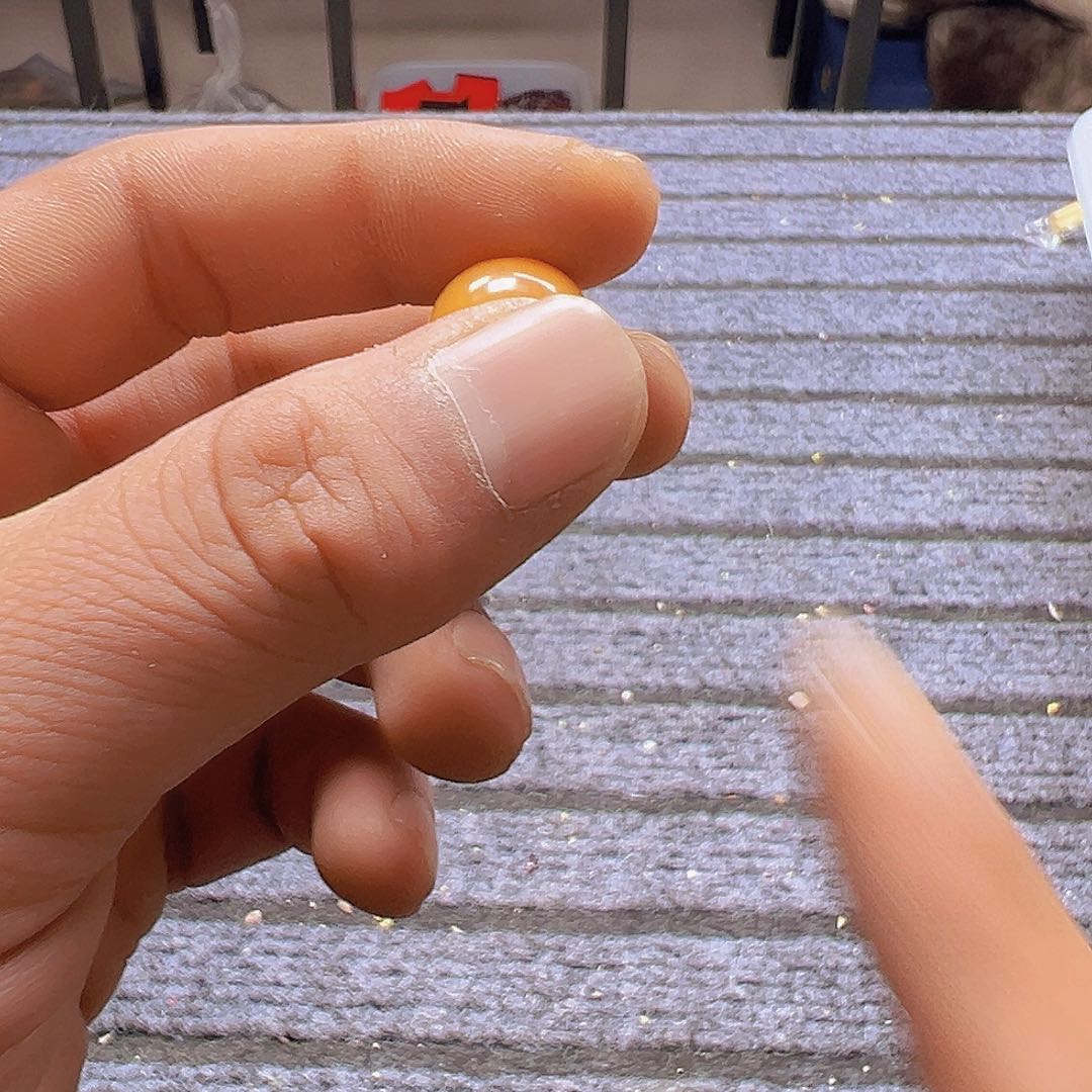 大果紫檀（缅甸花梨）C111