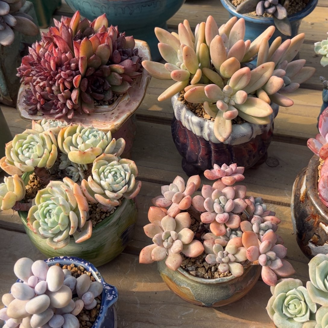 曲***曲11111111111111111