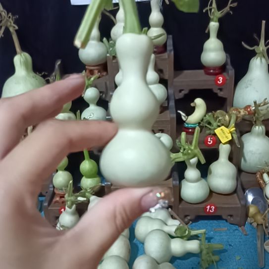 陈***遥噜啦噜啦嘞空军总共鸣
