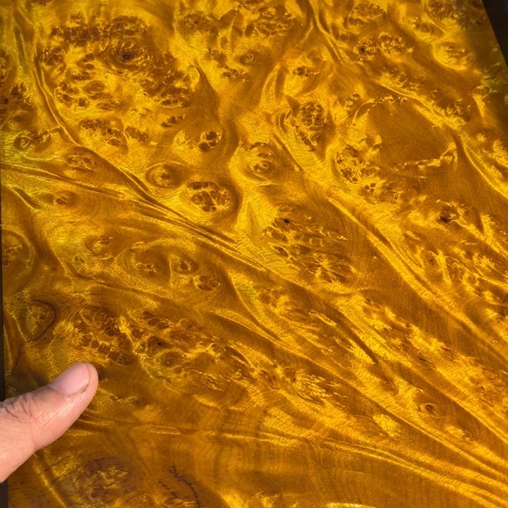 木@***下黄金樟留疤超大托盘