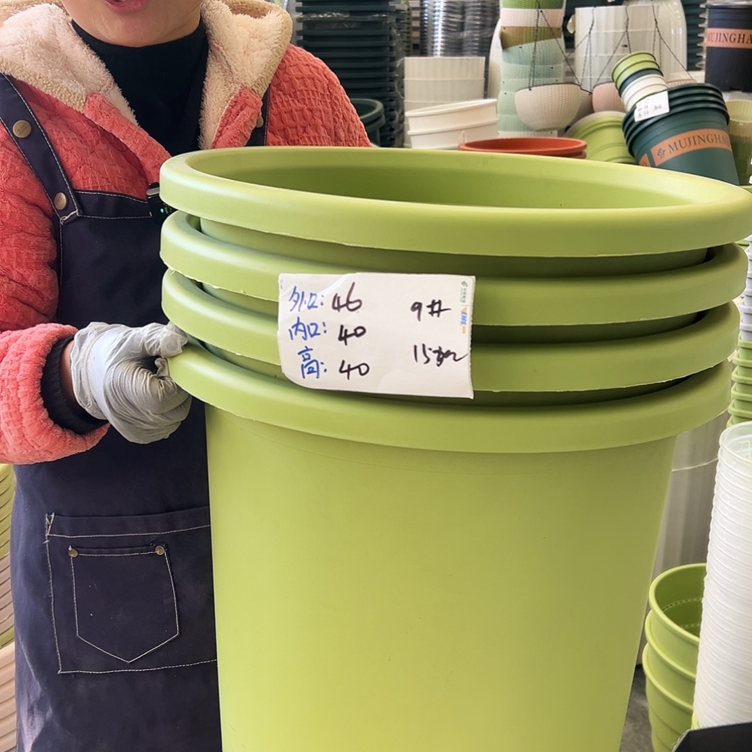 四季盆9#果绿色4个无托