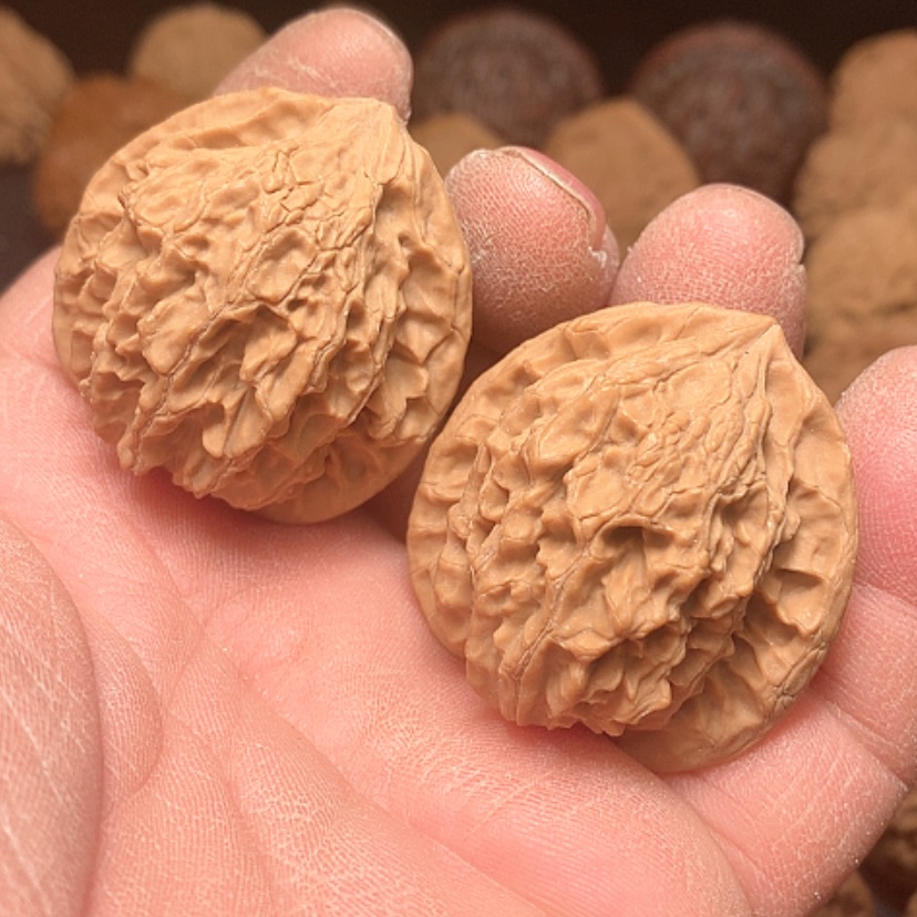 【闪购商品】虎*哥野生金牛