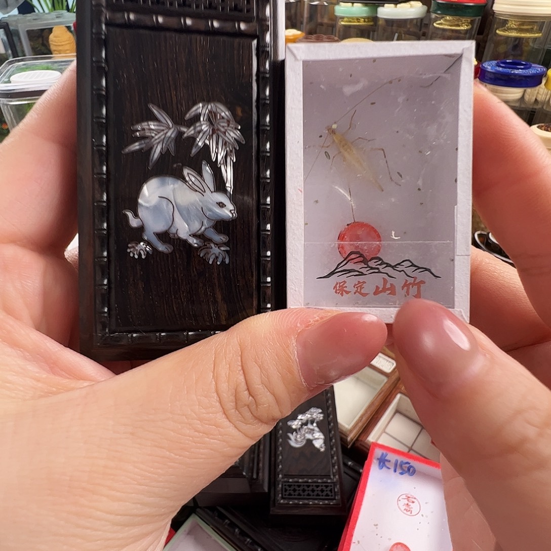 相***世哈哈哈兔盒子➕山竹蛉