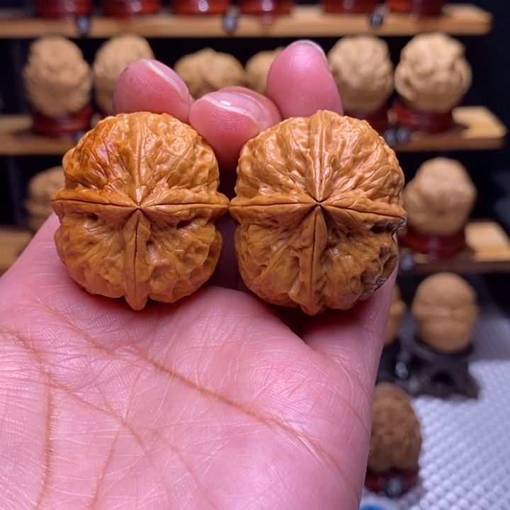 木质类云铁山崎四棱107号