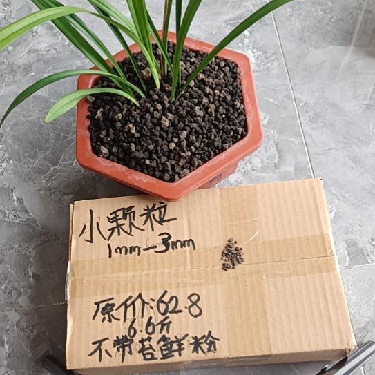 安***语兰菌黑山土小颗粒6.6斤