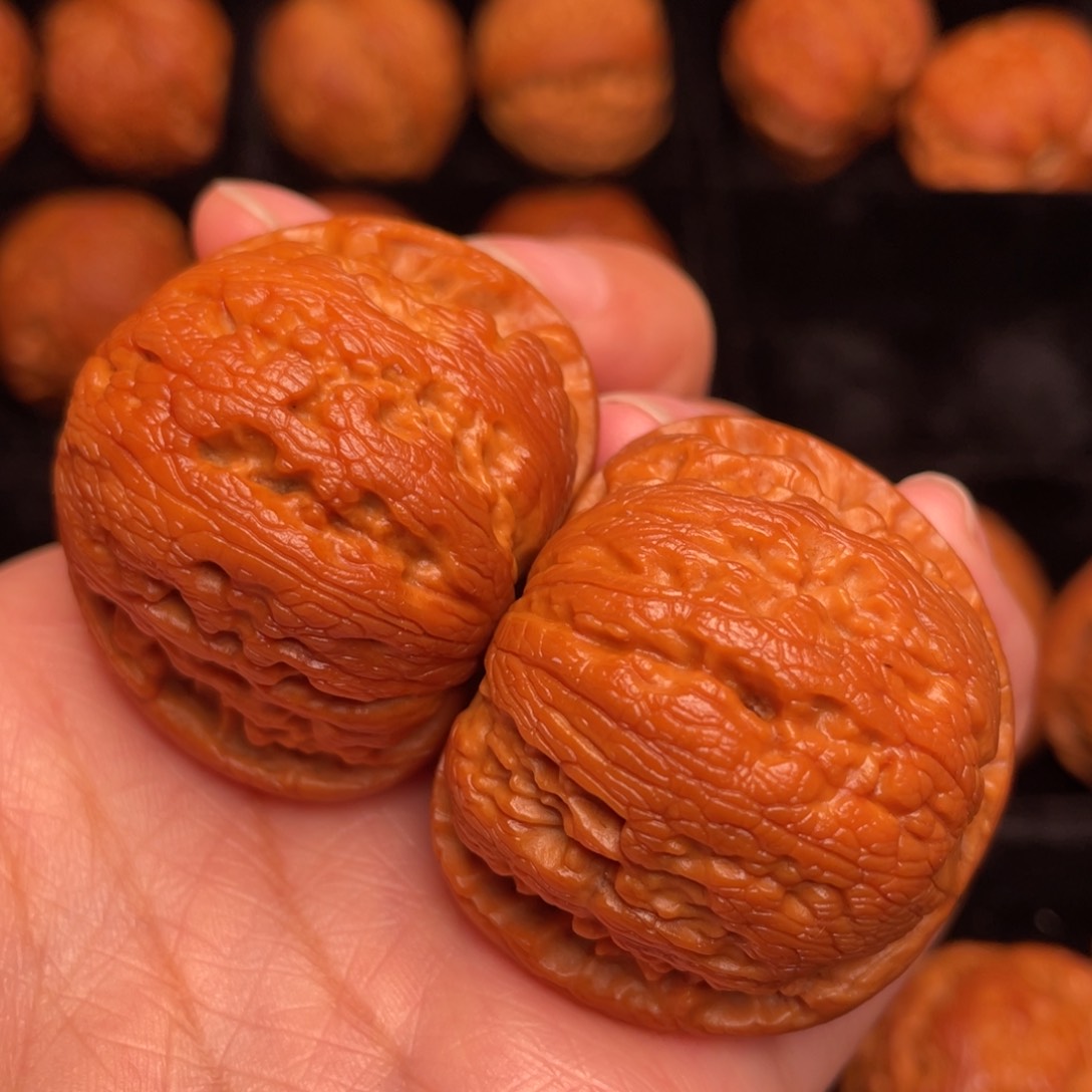 秦岭野生核桃文玩